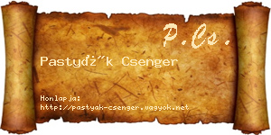 Pastyák Csenger névjegykártya